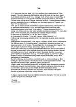 Prakses atskaite 'Brauciena atskaite', 8.