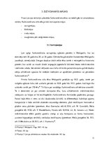 Referāts 'Funkcionālisma stila ēku arhitektūra starpkaru Latvijā', 11.