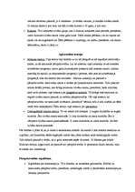 Konspekts 'Nabadzība', 4.