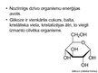 Prezentācija 'Glikoze un karbonskābes', 3.