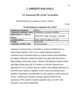 Referāts 'Investīcijas uzņēmējdarbībā', 28.