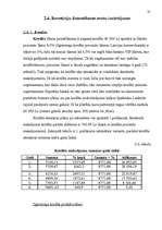 Referāts 'Investīcijas uzņēmējdarbībā', 31.