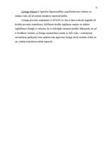 Referāts 'Investīcijas uzņēmējdarbībā', 35.