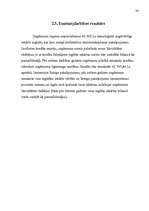 Referāts 'Investīcijas uzņēmējdarbībā', 36.