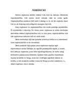 Referāts 'Investīcijas uzņēmējdarbībā', 38.