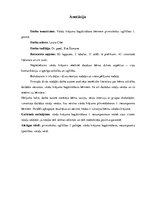 Diplomdarbs 'Vārdu krājuma bagātināšana bērniem pirmsskolas izglītības 1. posmā', 3.