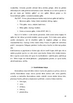 Diplomdarbs 'Vārdu krājuma bagātināšana bērniem pirmsskolas izglītības 1. posmā', 25.