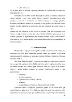 Diplomdarbs 'Vārdu krājuma bagātināšana bērniem pirmsskolas izglītības 1. posmā', 26.