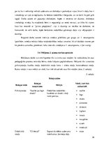 Diplomdarbs 'Vārdu krājuma bagātināšana bērniem pirmsskolas izglītības 1. posmā', 36.