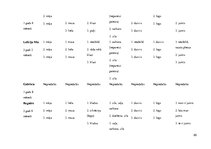 Diplomdarbs 'Vārdu krājuma bagātināšana bērniem pirmsskolas izglītības 1. posmā', 85.