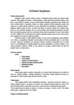 Referāts 'Griestu kopšana', 1.