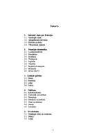 Konspekts 'Francija', 2.