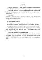 Referāts 'Mecenātisma attīstība Latvijā un pasaulē', 3.