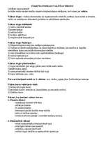 Konspekts 'Starptautiskais valūtas tirgus', 1.