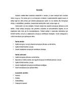 Referāts 'Korupcija Latvijā', 3.