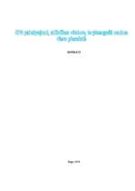 Referāts 'SPA pakalpojumi, attīstības vēsture, to pieaugošā nozīme viesu piesaistē', 1.