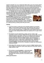 Referāts 'SPA pakalpojumi, attīstības vēsture, to pieaugošā nozīme viesu piesaistē', 6.