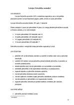 Referāts 'Politiskās partijas un organizācijas Latvijā', 16.