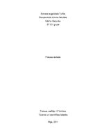 Prakses atskaite 'Tūrisma aģentūra "Travel Art Latvia"', 1.