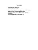 Prakses atskaite 'Tūrisma aģentūra "Travel Art Latvia"', 13.