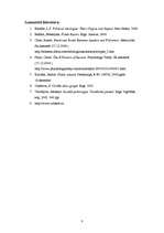 Referāts 'Harizmātiskas personības. Fidels Kastro', 8.