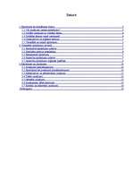 Referāts 'Sprieduma vispārīgs raksturojums', 1.