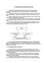 Referāts 'Sprieduma vispārīgs raksturojums', 3.