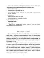 Referāts 'Nodokļu ietekme uz Latvijas namīpašniekiem', 11.