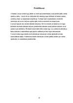 Referāts 'Latvijas valūtas tirgus', 29.