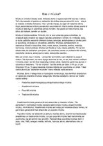 Eseja 'Kas ir mūzika', 1.