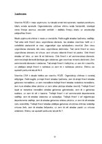 Prakses atskaite 'Viesnīcu prakse', 13.