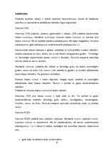 Prakses atskaite 'Viesnīcu prakse', 20.