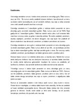 Prakses atskaite 'Viesnīcu prakse', 23.