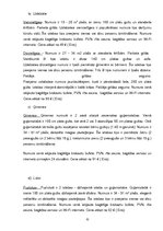 Prakses atskaite 'Viesnīcu prakse', 32.