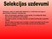 Prezentācija 'Ābeļu selekcija', 3.