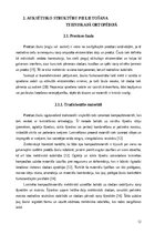 Referāts 'Auksētiskās struktūras un to pielietojuma iespējas tehniskajā ortopēdijā', 12.