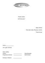 Paraugs 'Finanšu analīze SIA "Staburadze"', 1.