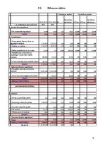 Paraugs 'Finanšu analīze SIA "Staburadze"', 3.