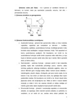 Prakses atskaite 'Ģimenes struktūras analīze', 2.