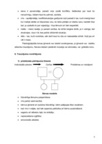 Prakses atskaite 'Ģimenes struktūras analīze', 4.