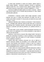 Referāts 'Uzņēmējdarbības iekšējās un ārējās vides faktoru analīze uzņēmumā "X"', 13.