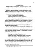 Referāts 'Personāla motivēšanas nepieciešamība, motivācijas teorijas', 4.