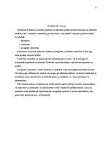 Referāts 'Personāla motivēšanas nepieciešamība, motivācijas teorijas', 13.