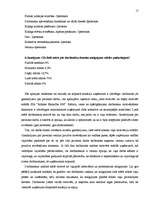 Referāts 'Personāla motivēšanas nepieciešamība, motivācijas teorijas', 17.