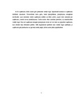 Biznesa plāns 'Biznesa plāns', 7.