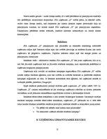 Biznesa plāns 'Biznesa plāns', 12.
