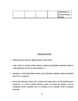 Biznesa plāns 'Biznesa plāns', 18.