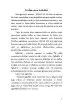 Referāts 'Veselīgs uzturs', 3.