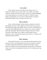 Konspekts 'Pētījums vēsturē - pilsētas', 3.