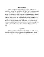 Konspekts 'Pētījums vēsturē - pilsētas', 4.